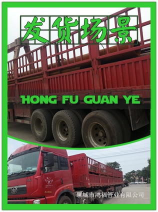 ���ճ��ݟo�p䓹�؛���Ѱl��